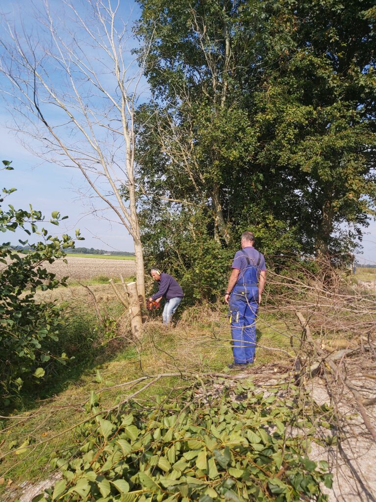 Ol’nzielster Oktober 2025